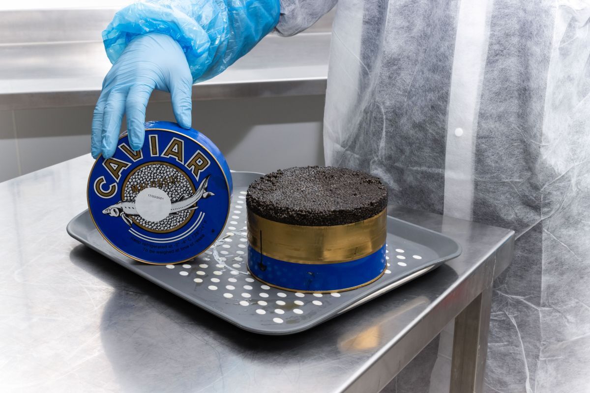 Boite Caviar - Comment manger le caviar